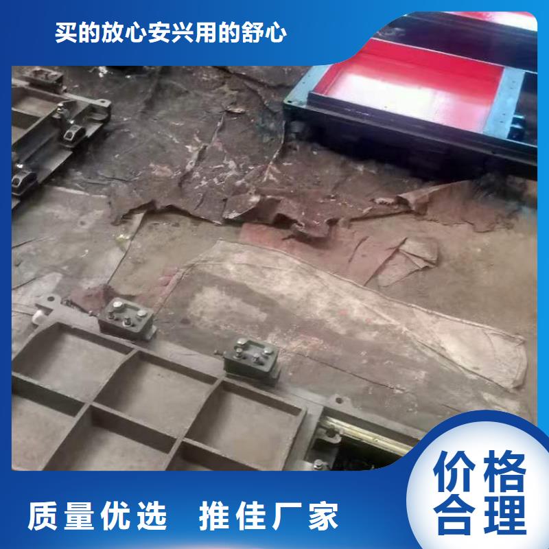 【铸铁闸门_启闭机闸门厂家一站式采购商家】