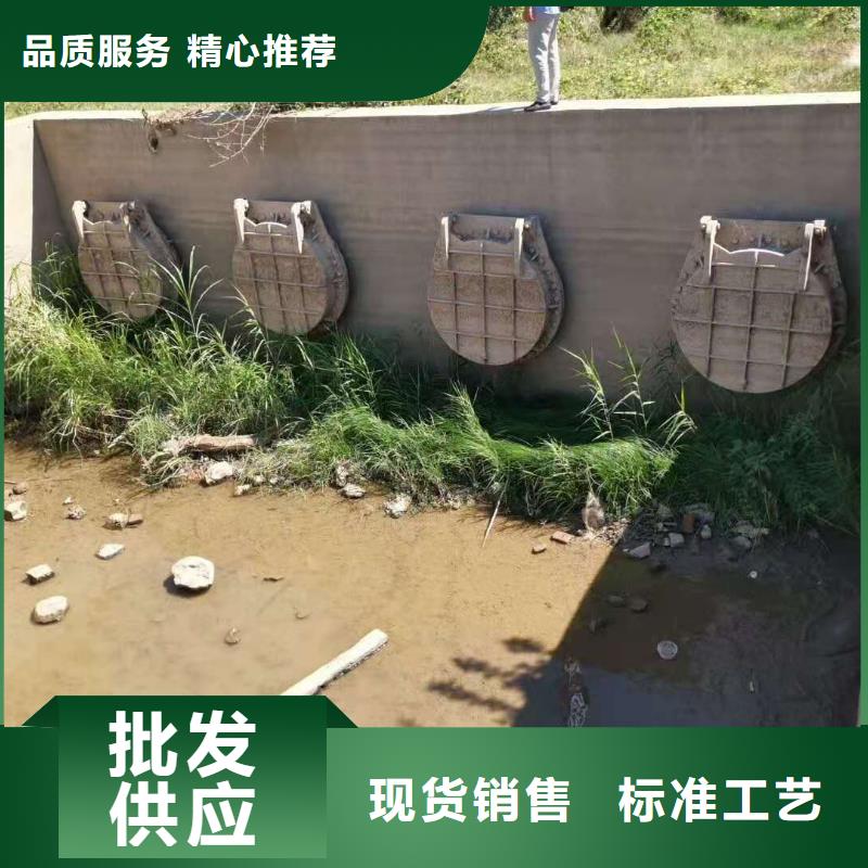 铸铁闸门厂家供应