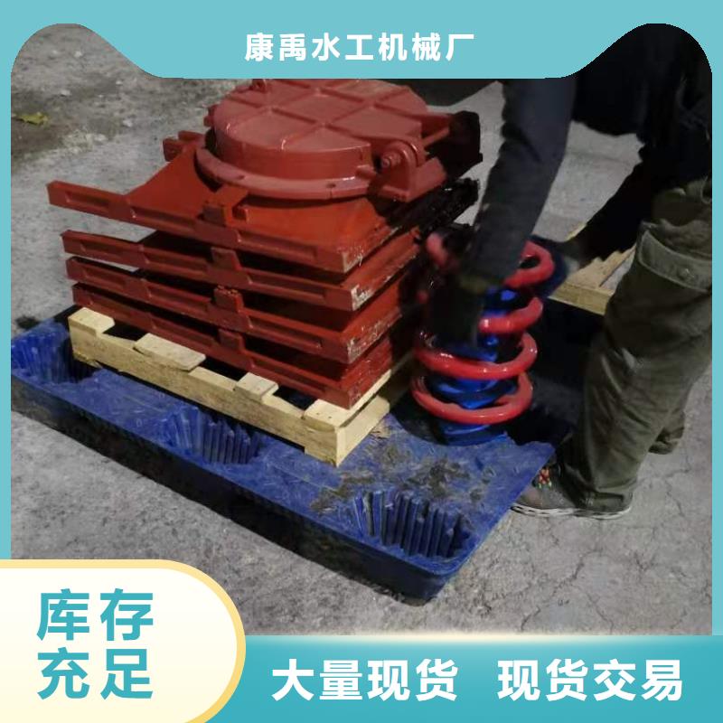 铸铁闸门物美价优
