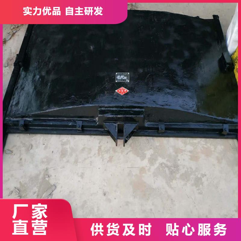铸铁闸门拥有多家成功案例