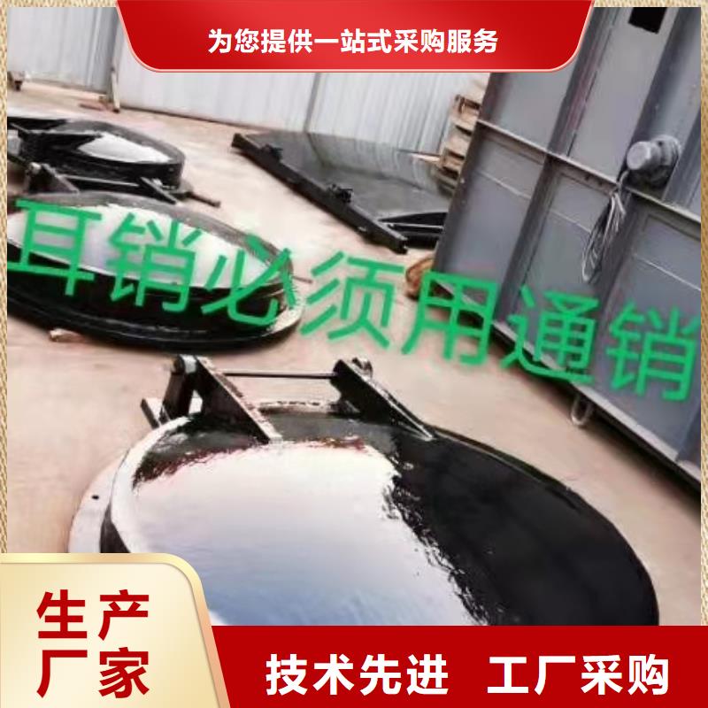钢闸门一致好评产品