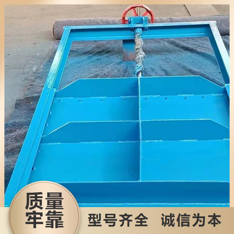 钢闸门【卷闸门】品质之选