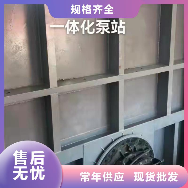 钢闸门大品牌值得信赖