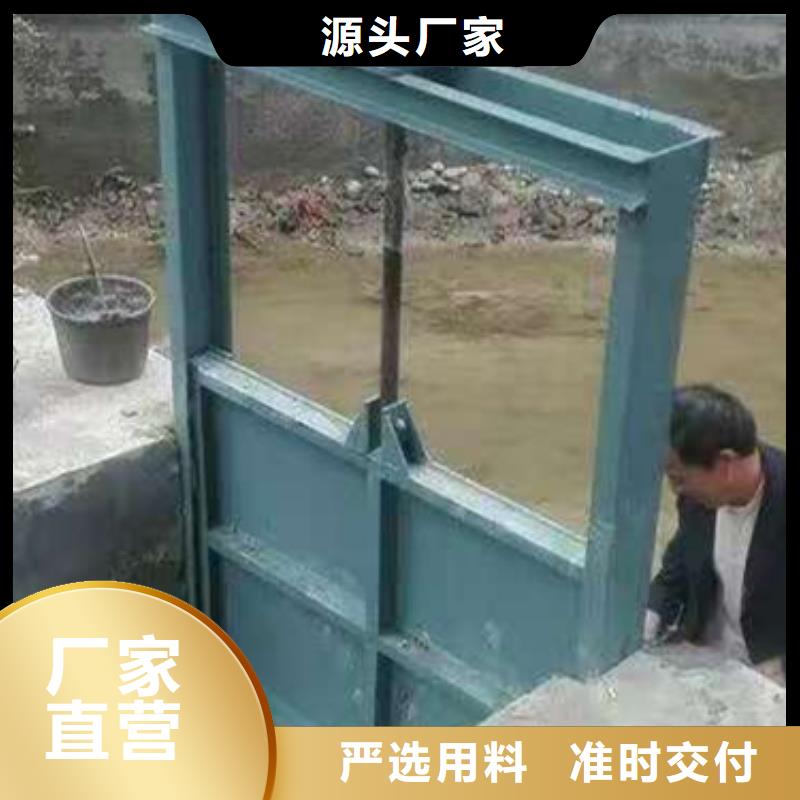 景观钢闸门支持定制