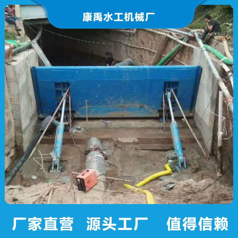 钢闸门清污机一站式供应厂家
