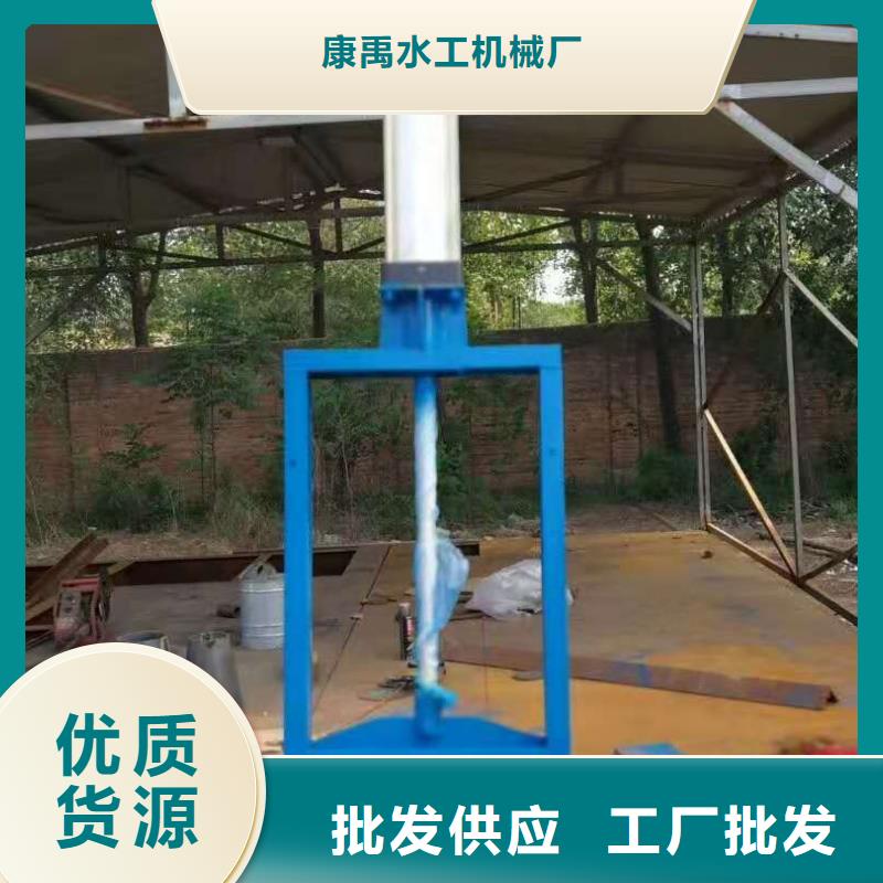  钢闸门实力厂家