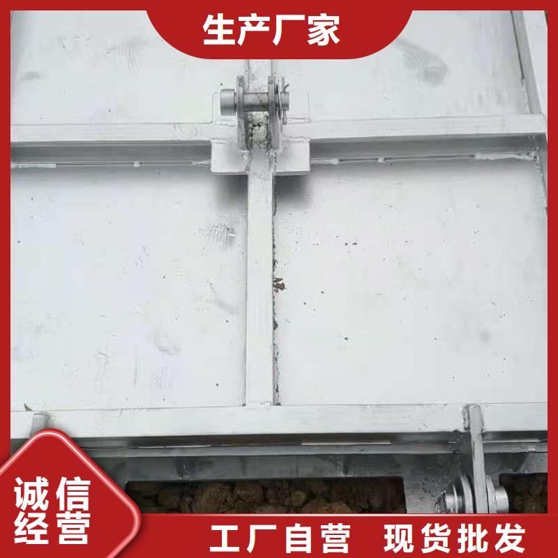 钢闸门专业的生产厂家