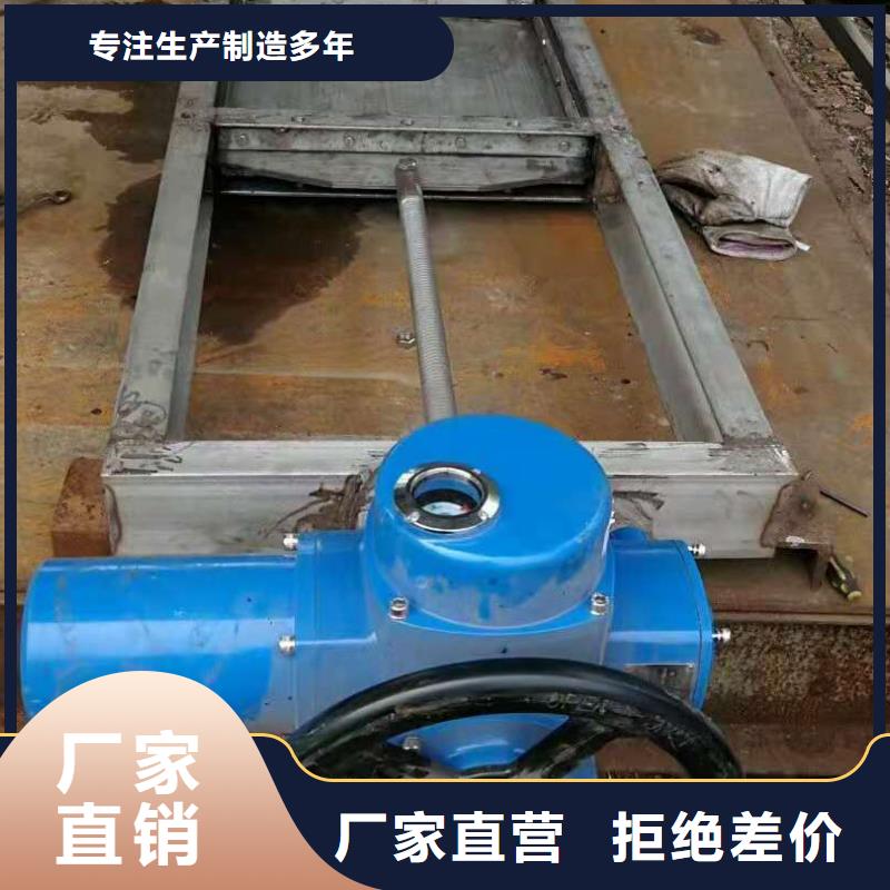 钢闸门真材实料加工定制