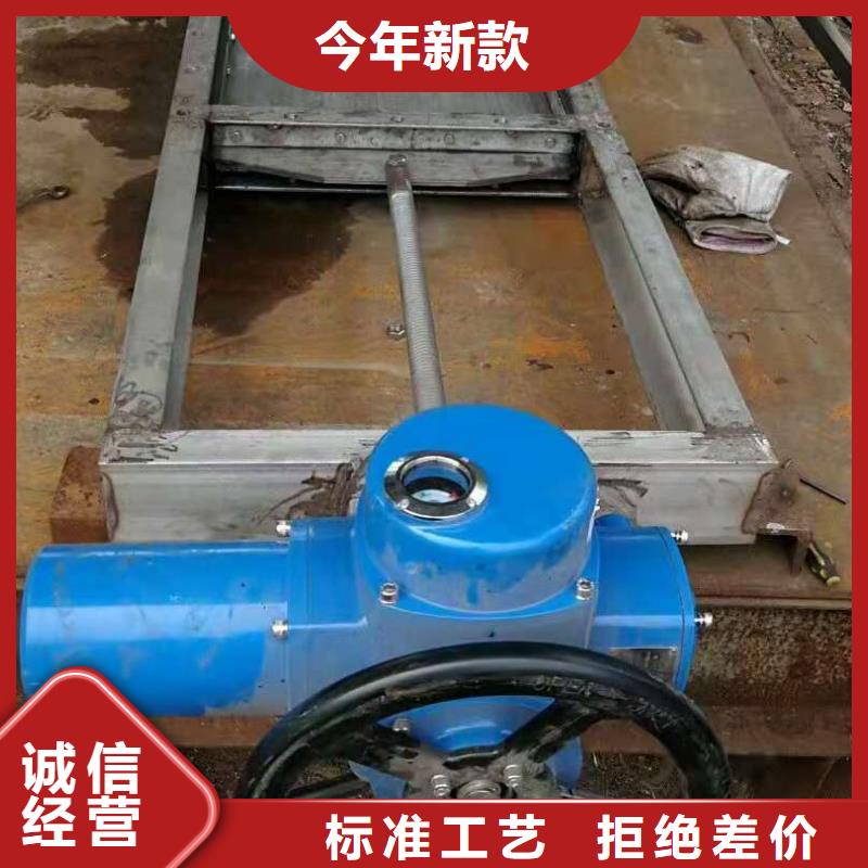 钢闸门质量优价格低