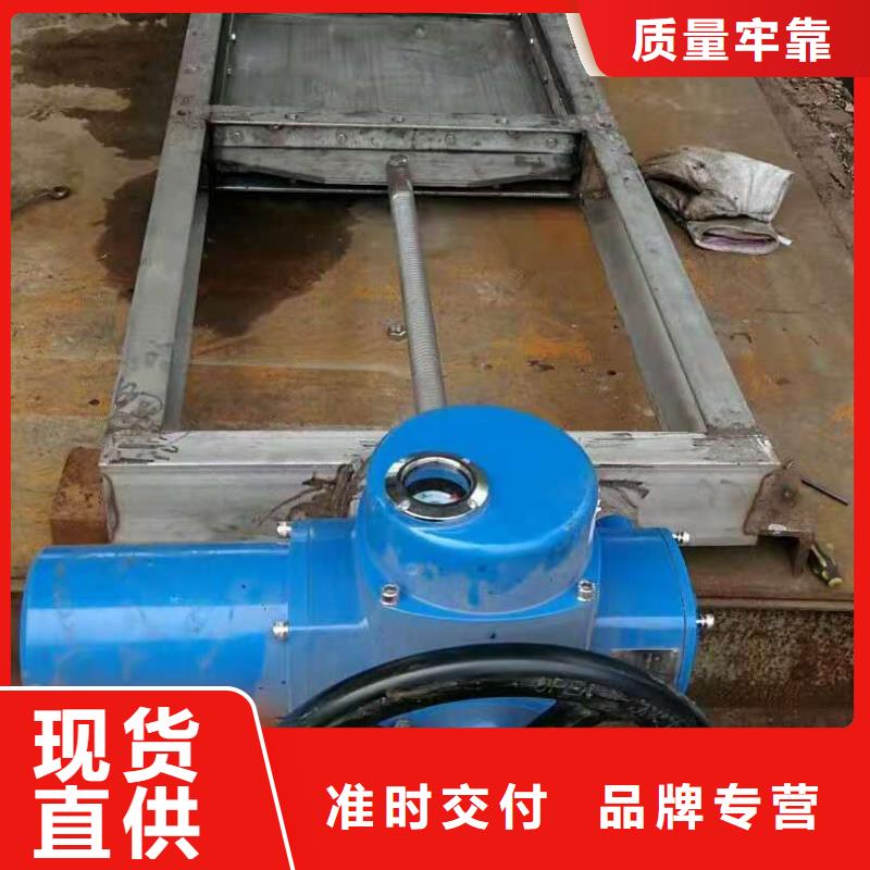  钢闸门用心做产品