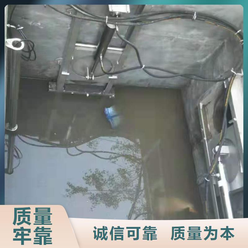 拍门厂家视频-拍门厂家-西藏山南|那曲|阿里|林芝|昌都|日喀则|拉萨【本土】公司