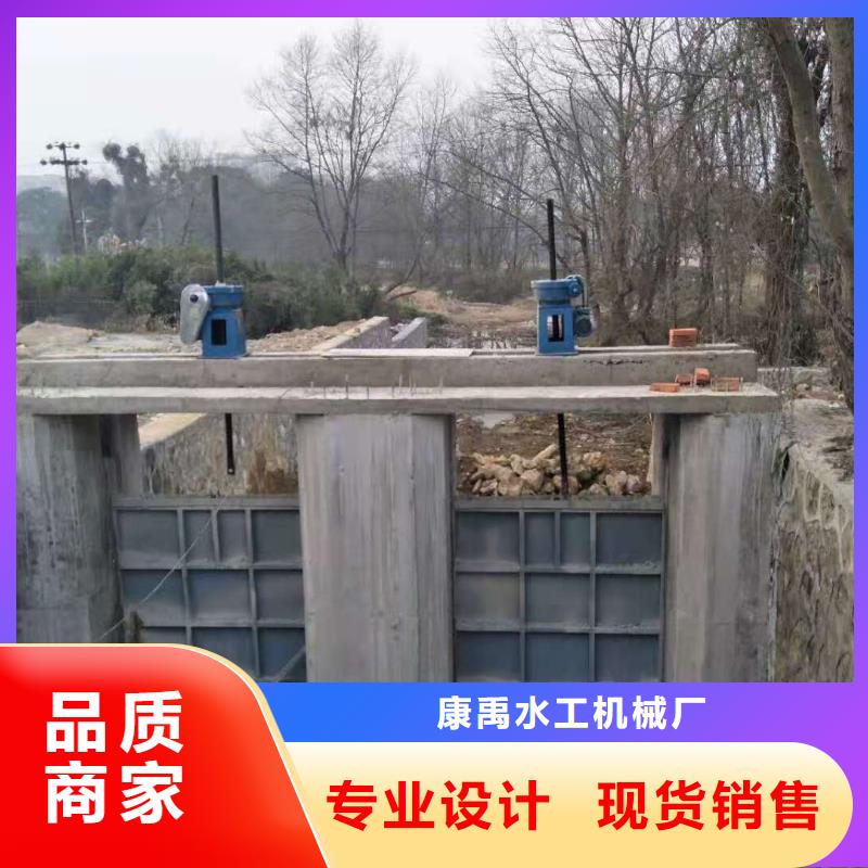 钢闸门大厂家实力看得见