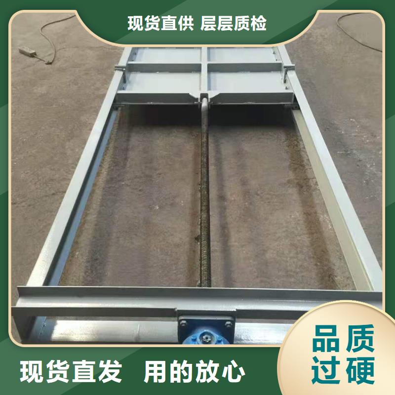  钢闸门实力厂家