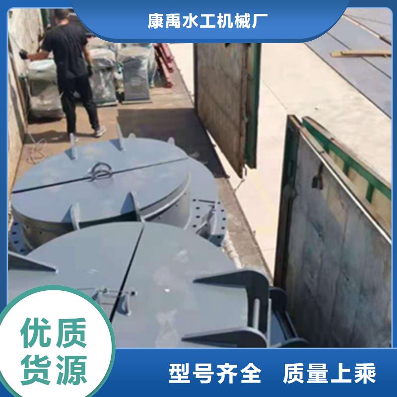 钢闸门型号齐全