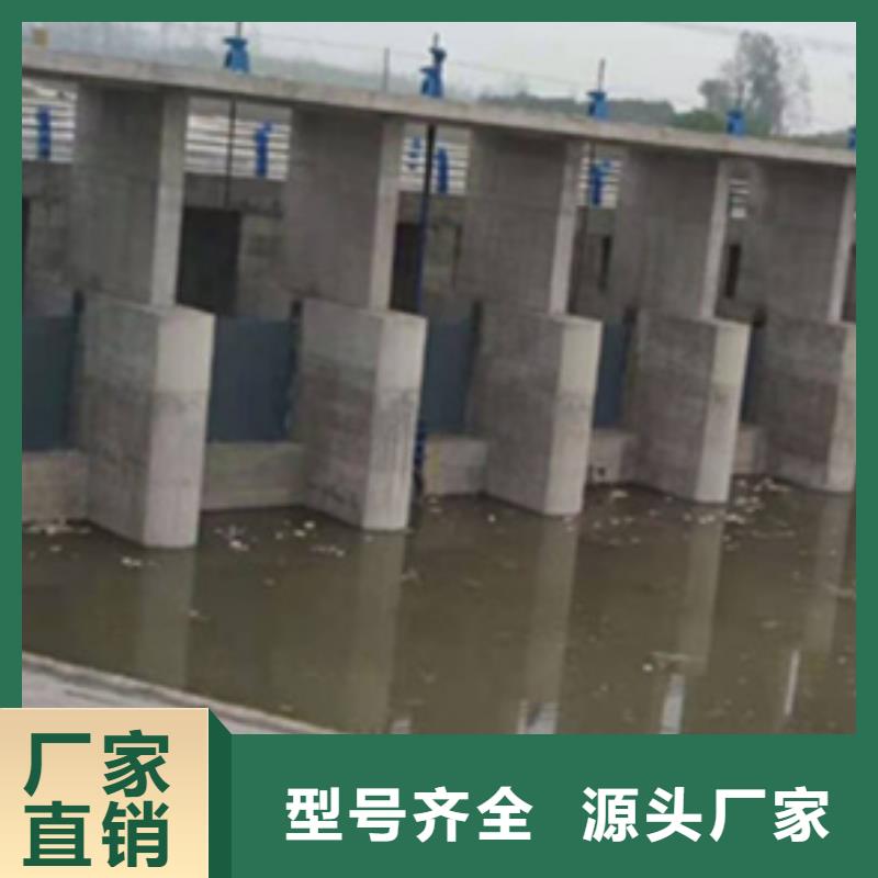  钢闸门实力厂家