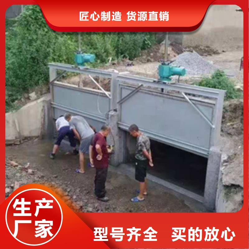 【钢闸门_污水除污机精心打造】