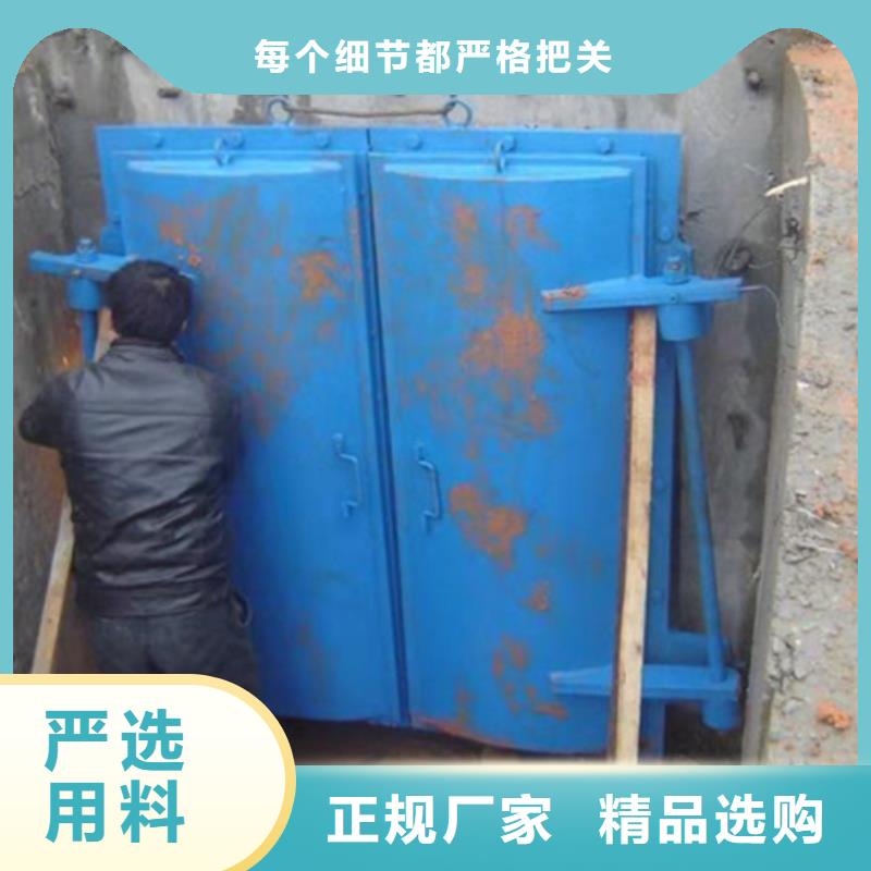  钢闸门实力厂家