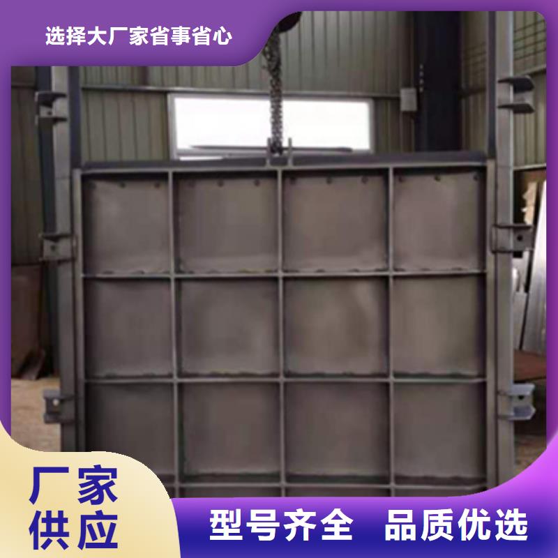 钢闸门来图定制量大从优