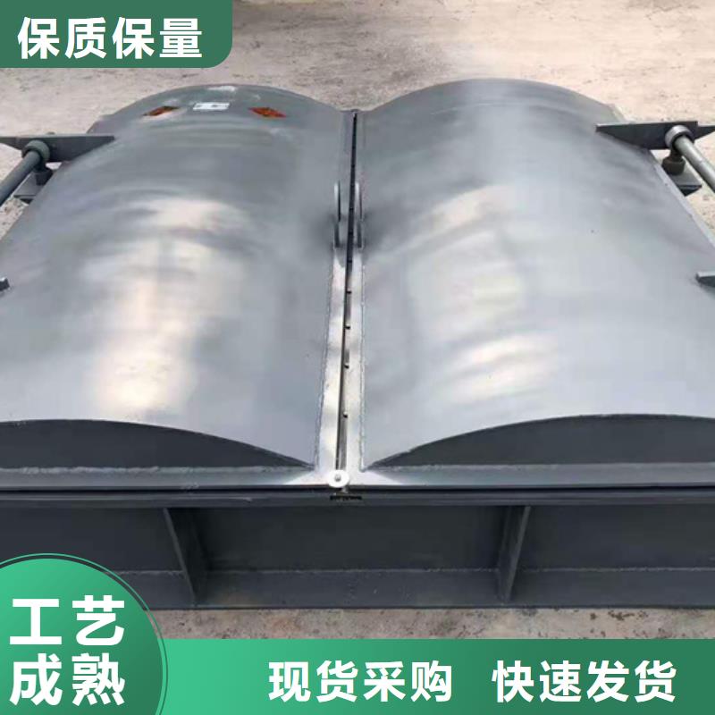 钢闸门极速发货