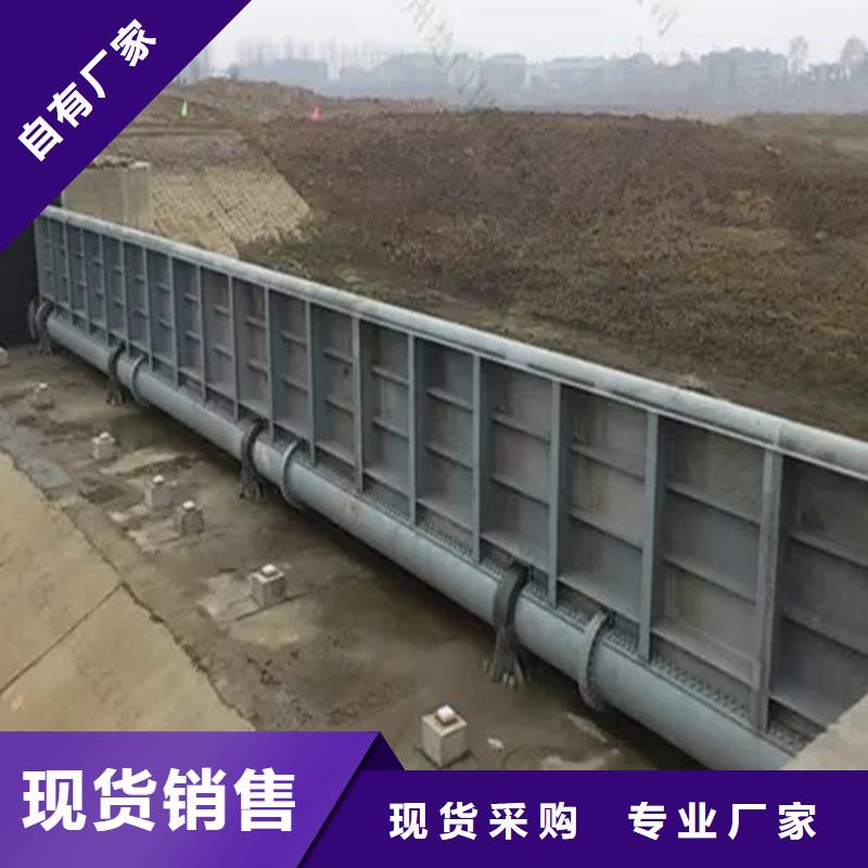 拍门厂家视频-拍门厂家-新疆克拉玛依市乌鲁木齐|伊犁本地服务商