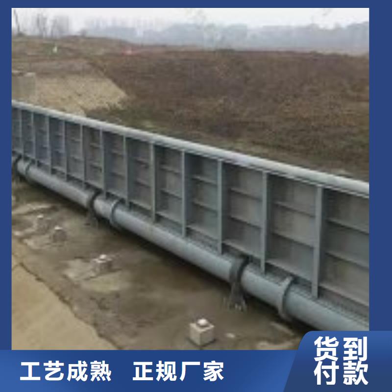 钢闸门高品质诚信厂家