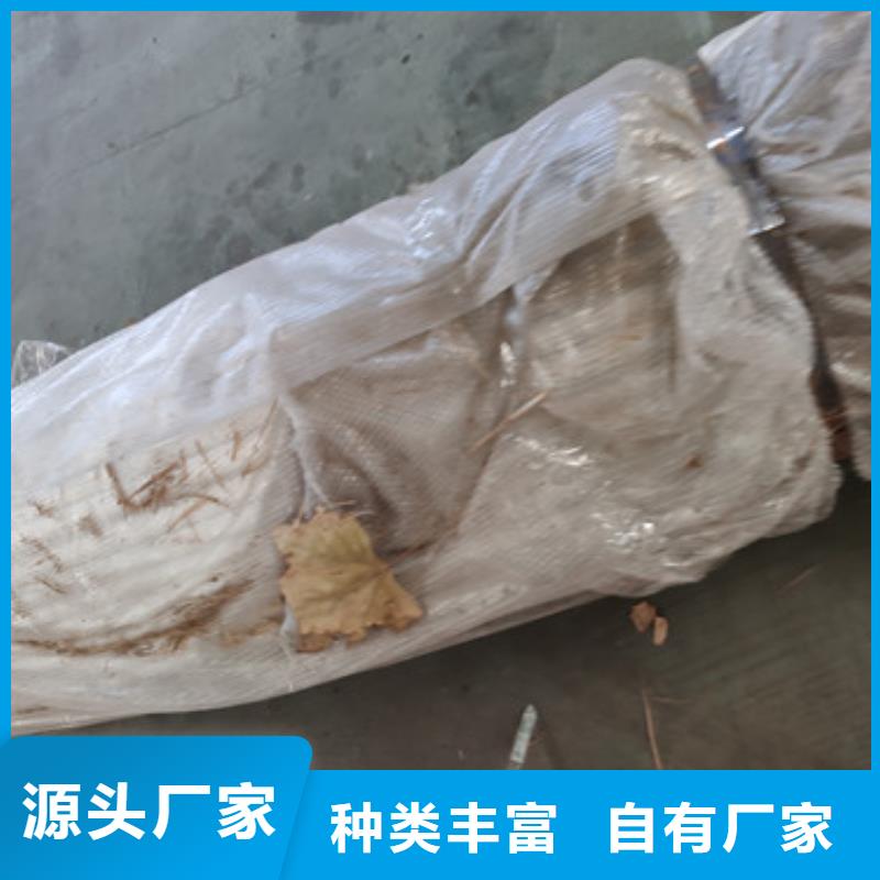 锌钢桥梁防撞护栏按需定制