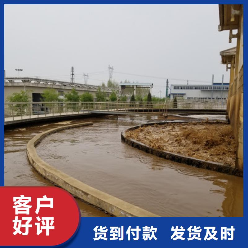 碱式氯化铝除磷剂高品质现货销售