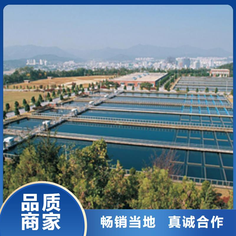 片碱聚合氯化铝实力厂家