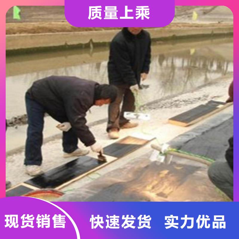 橡胶坝修补桥梁支座更换细节之处更加用心