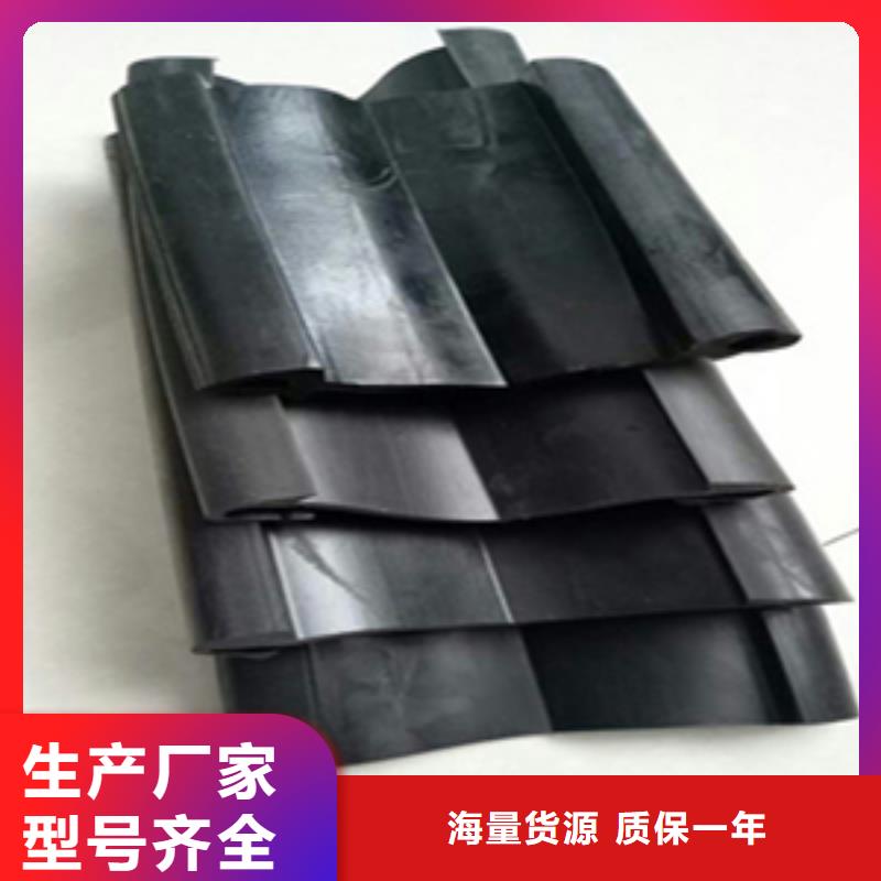 更换伸缩缝胶条欢迎订购