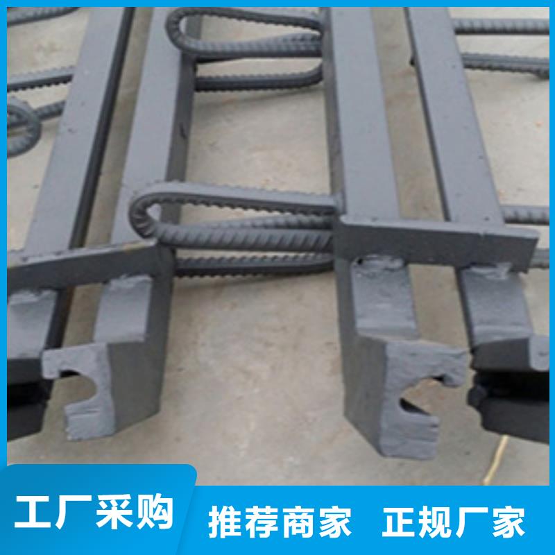 桥梁tst伸缩缝报价合理生产厂家