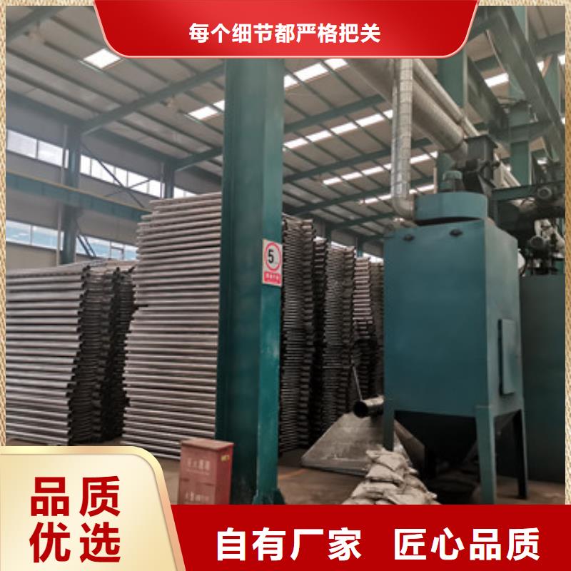 供应桥梁防撞栏杆_精选厂家