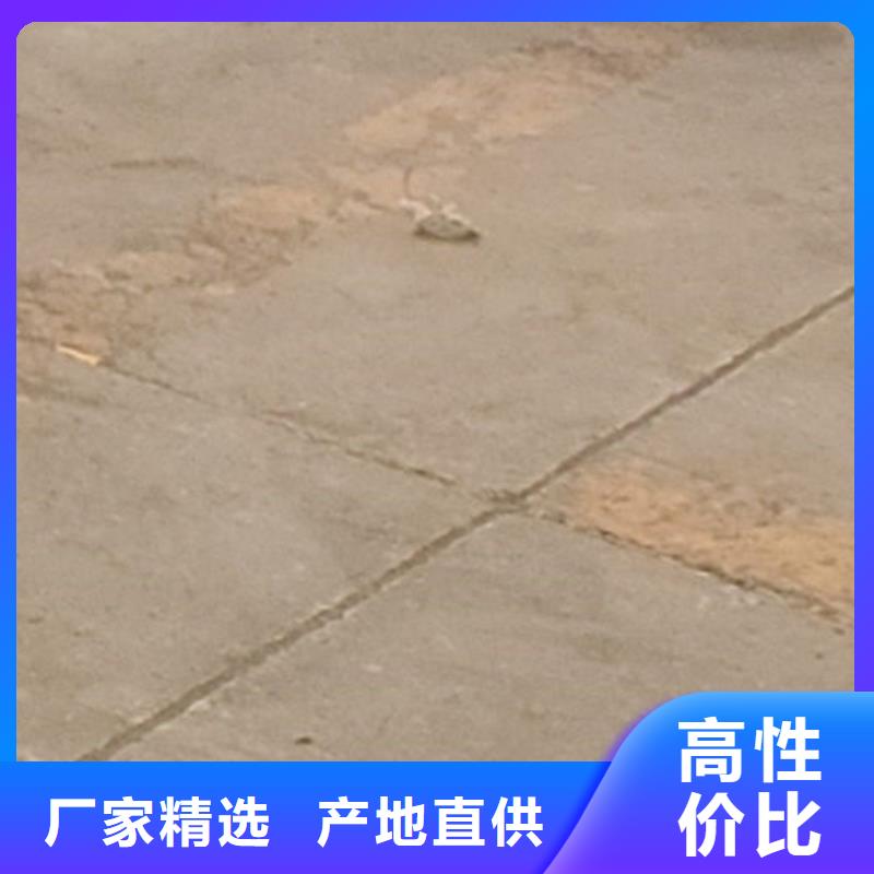  护栏产地直供