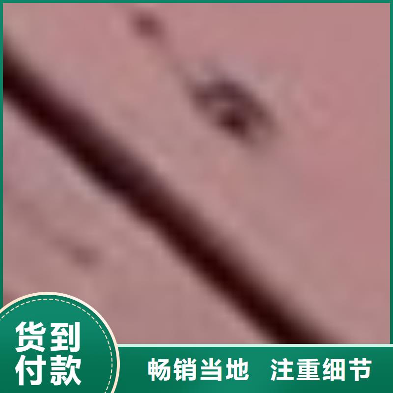 护栏-桥梁护栏厂可定制
