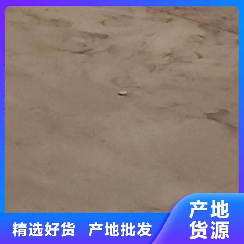 河道防撞护栏质量有保障的厂家