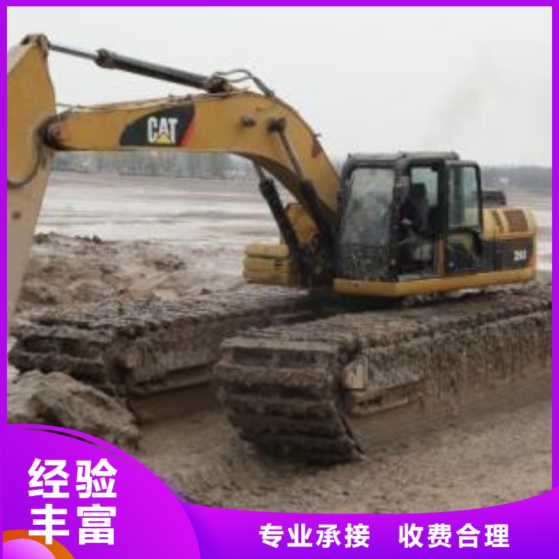 水陆挖掘机 【鱼塘清淤】技术成熟