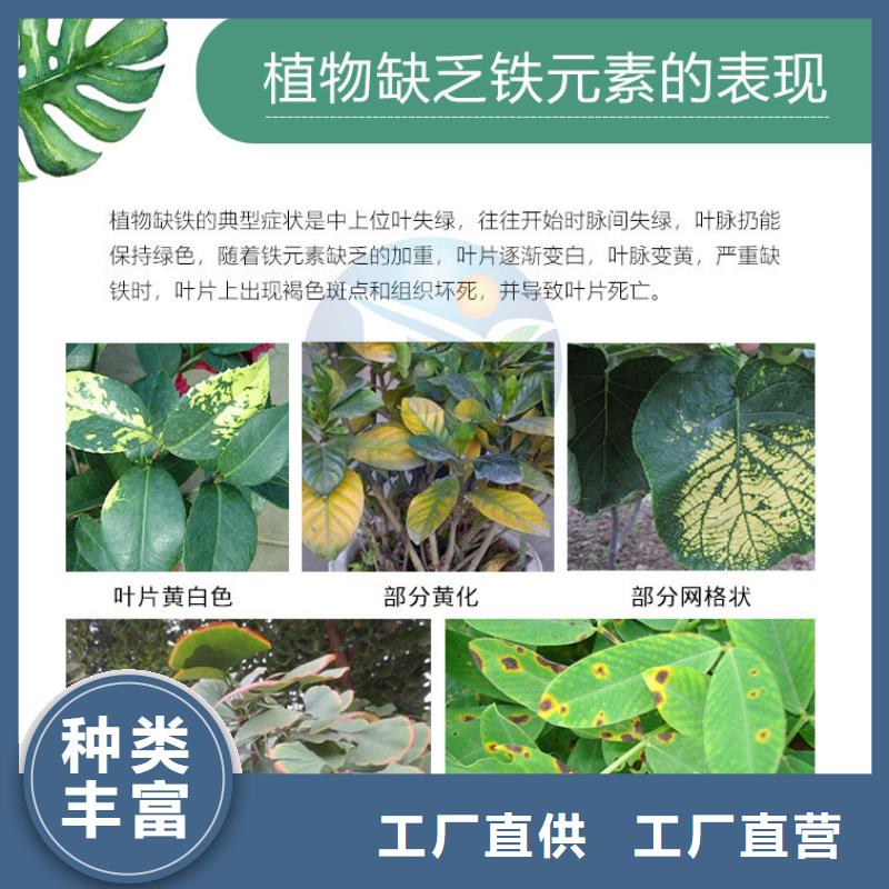 酸碱中和硫酸亚铁应用广泛