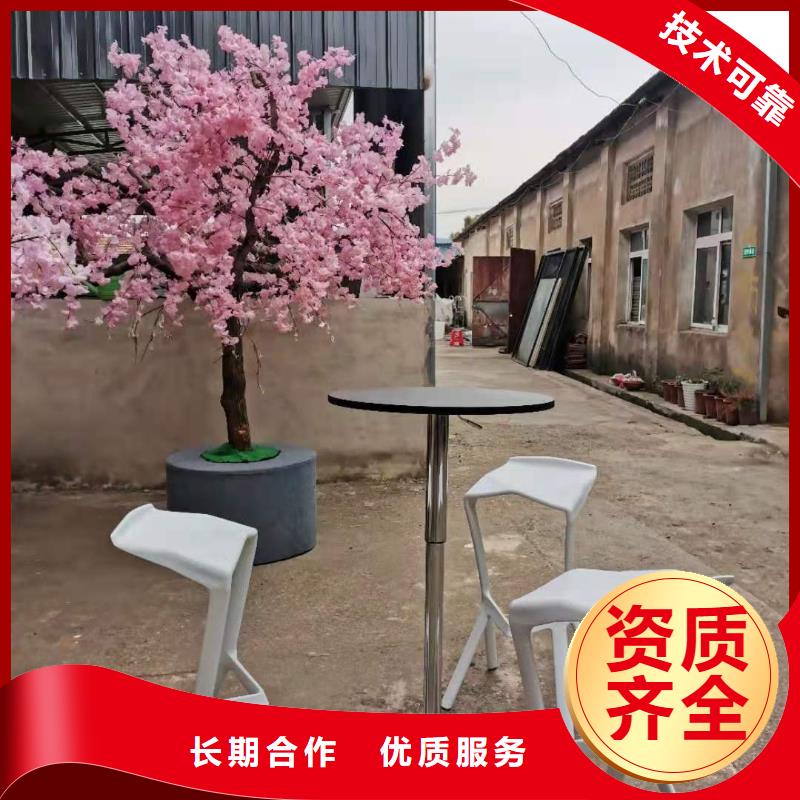 桌椅球形篷房出租专业团队