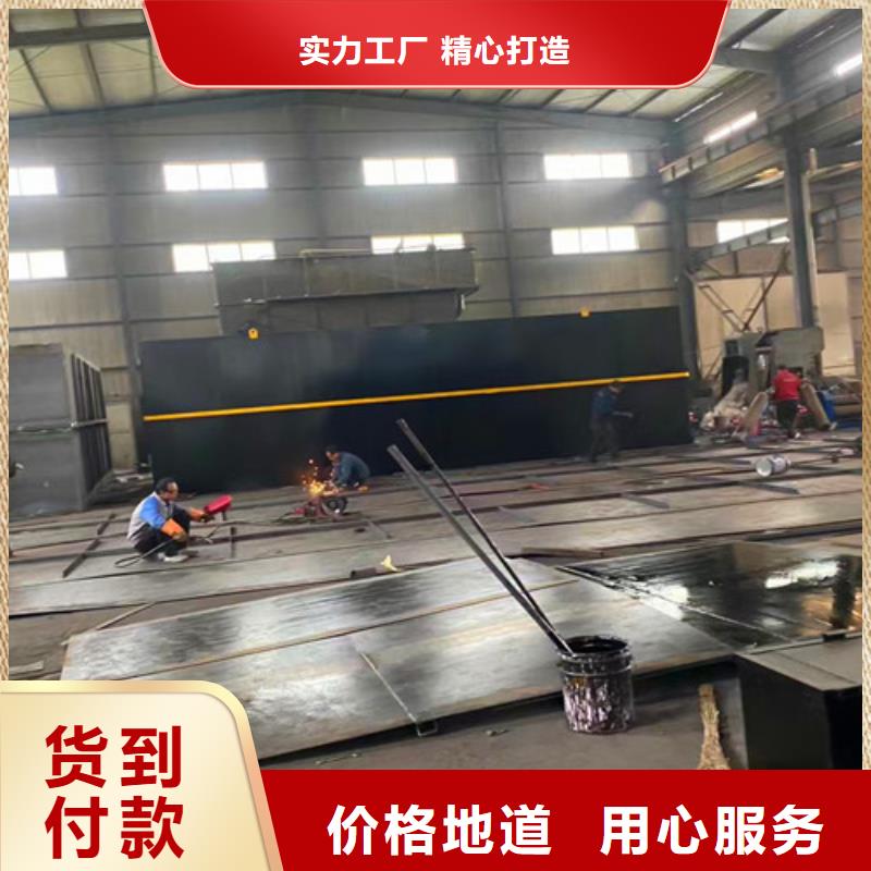 污水处理加药装置规格齐全实力厂家