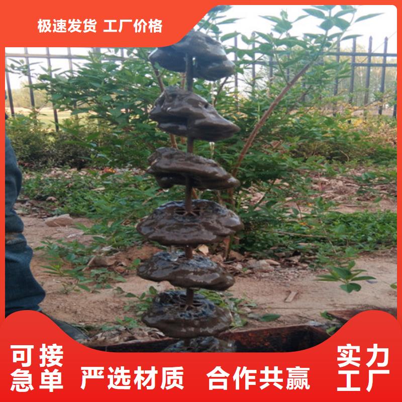 污水处理_河道治理一站式采购商