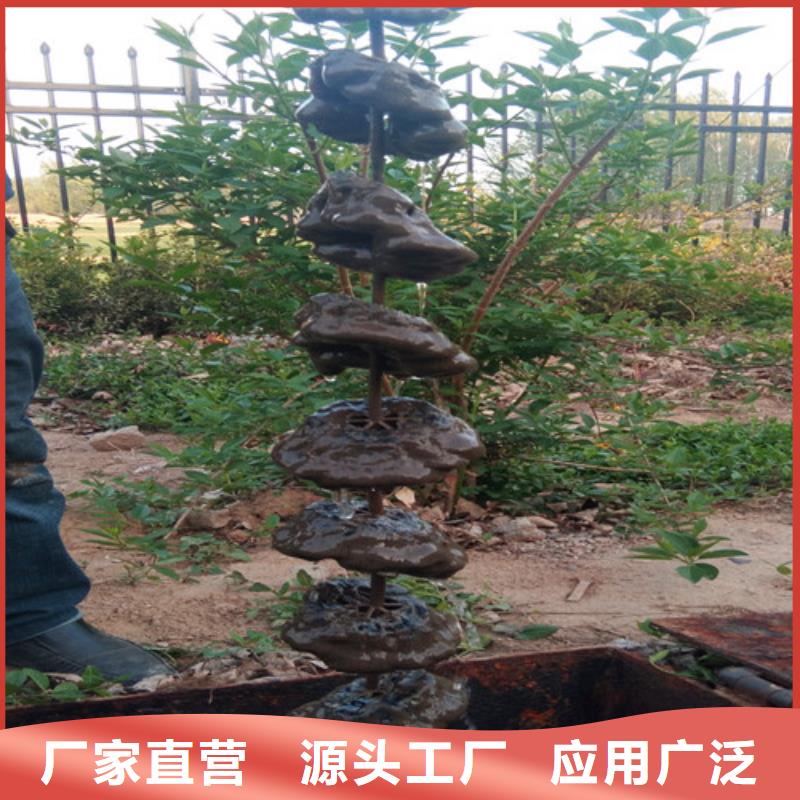 污水处理地埋一体化污水处理设备免费安装