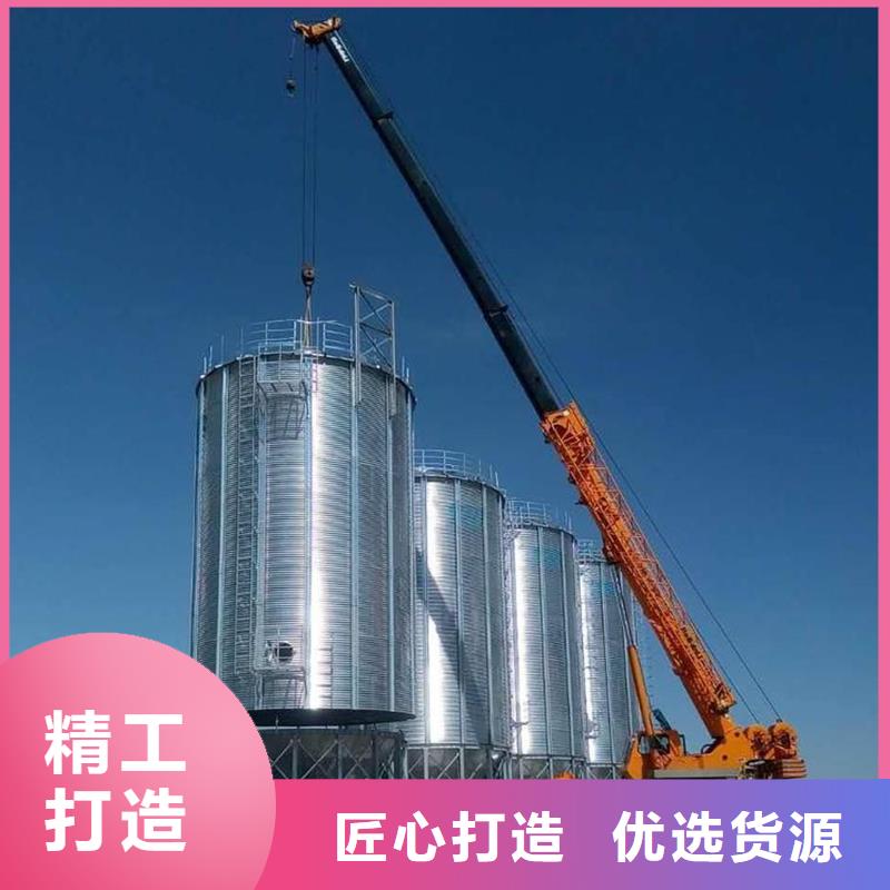 500吨装配式粮仓存储仓实体大厂