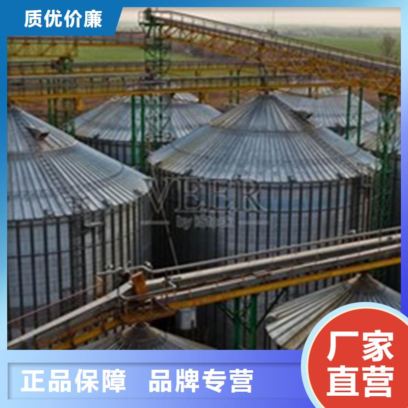 立式玉米钢板仓施工安装