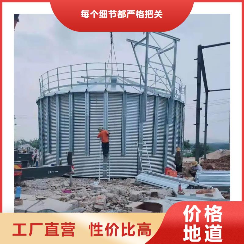 大型立式粮食储存仓参数图文介绍