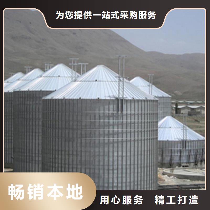 玉米豆类装配式钢板仓专业销售团队