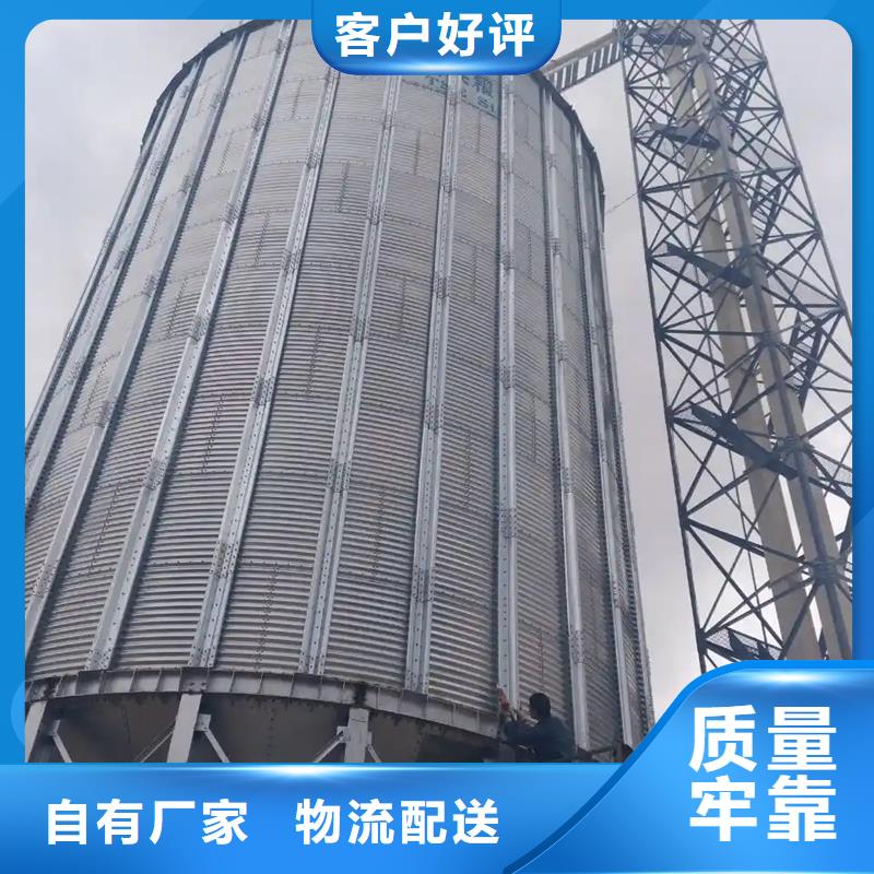 玉米豆类装配式钢板仓专业销售团队