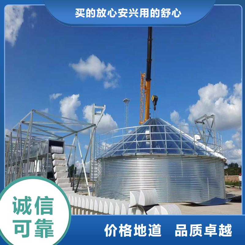 价格低的900吨玉米钢板仓生产厂家