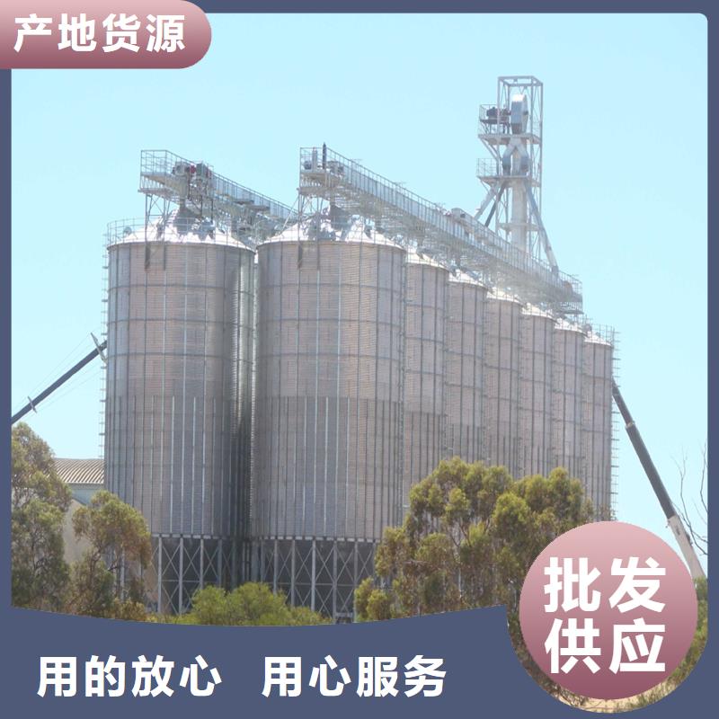 大型立式粮食储存仓-客户一致好评