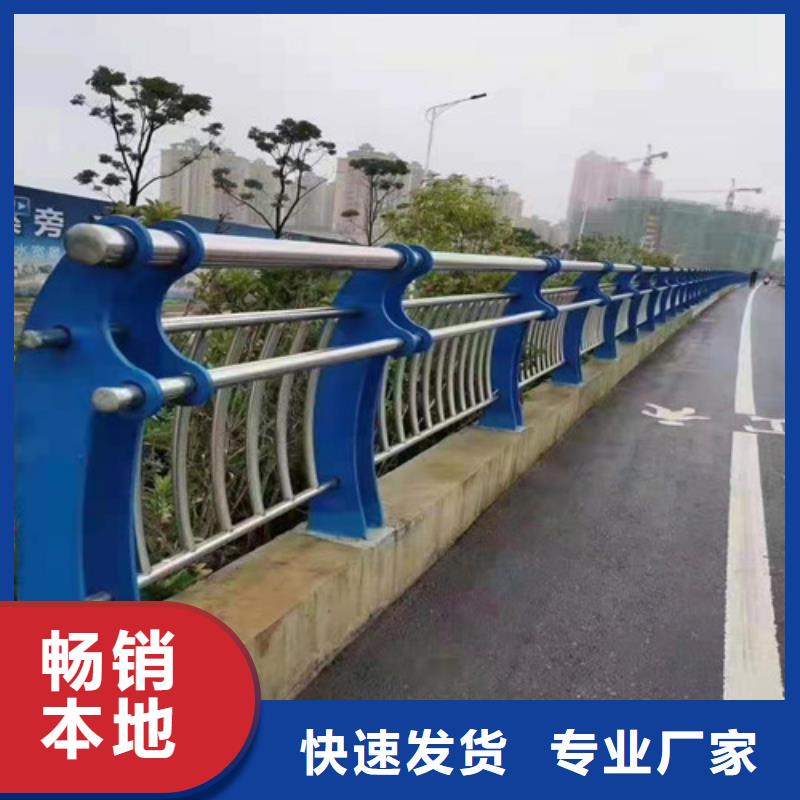 龙鑫行人隔离护栏景观护栏多年行业经验