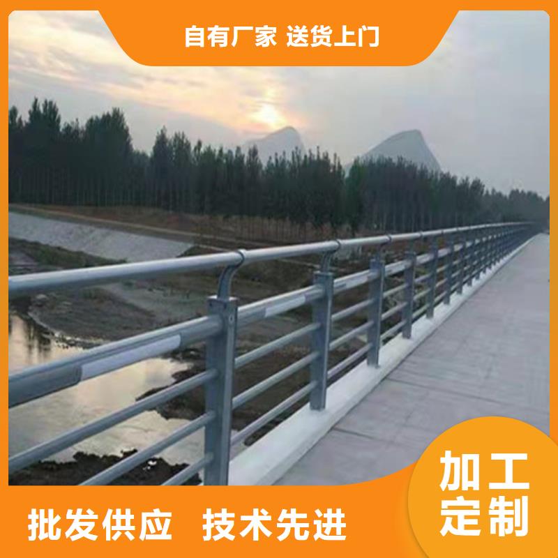 龙鑫行人隔离护栏景观护栏多年行业经验